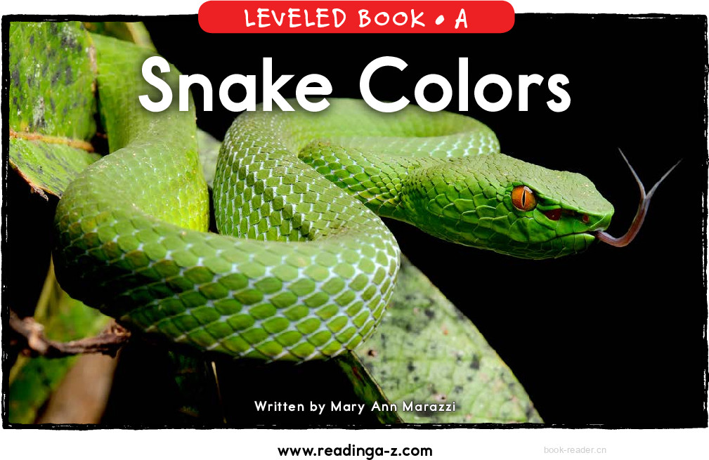 63_Snake Colors