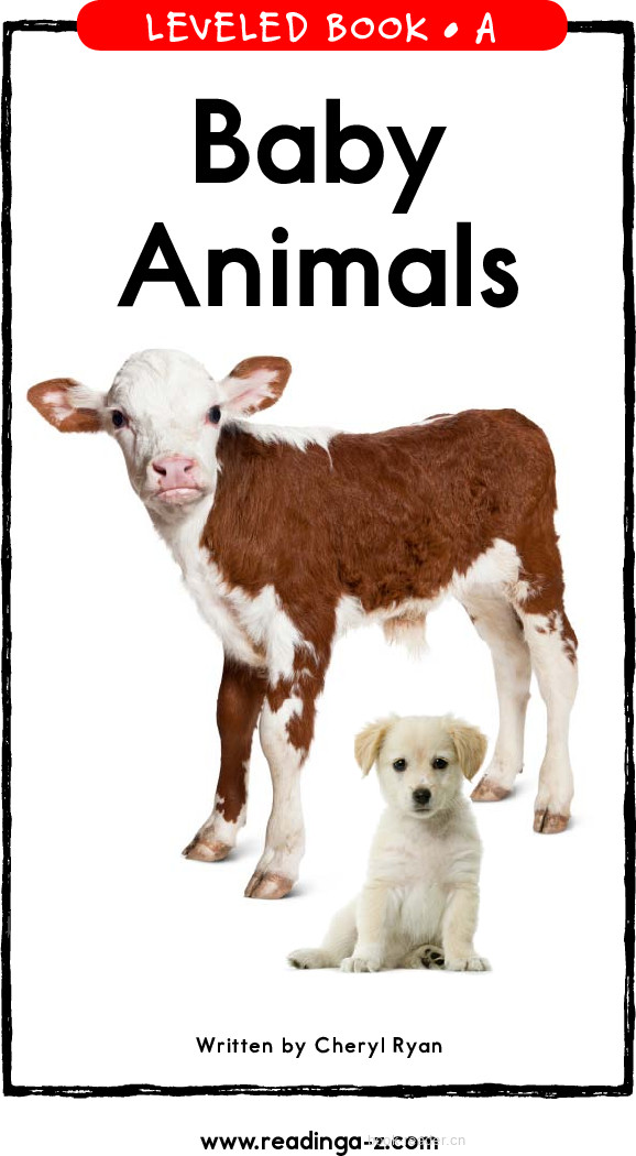 07_Baby Animals