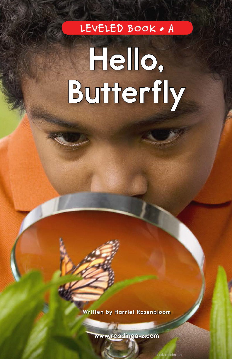 42_Hello, Butterfly