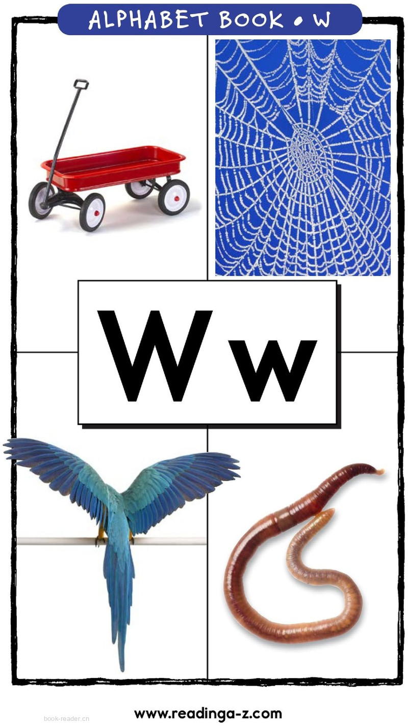 Letter W