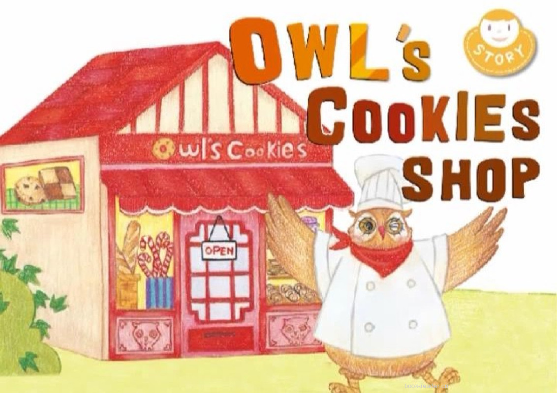 Owl’s cookies shop