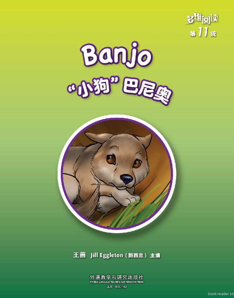 第11级 Banjo 