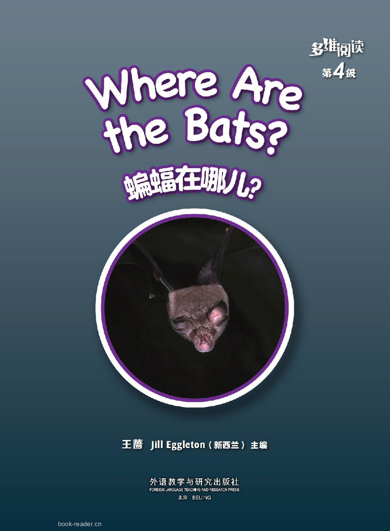 第4级 Where Are the Bats? 
