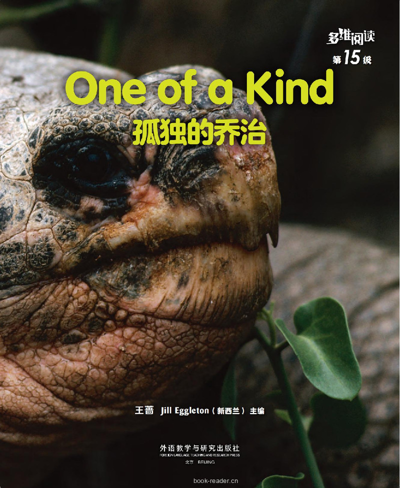 第15级 One of a Kind