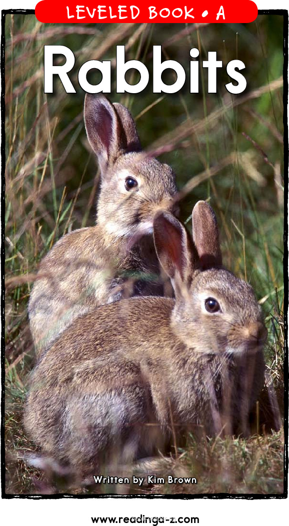 Rabbits