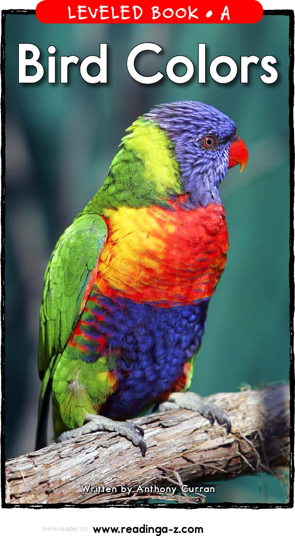 Bird colors