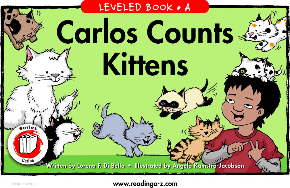 Carlos counts kitten