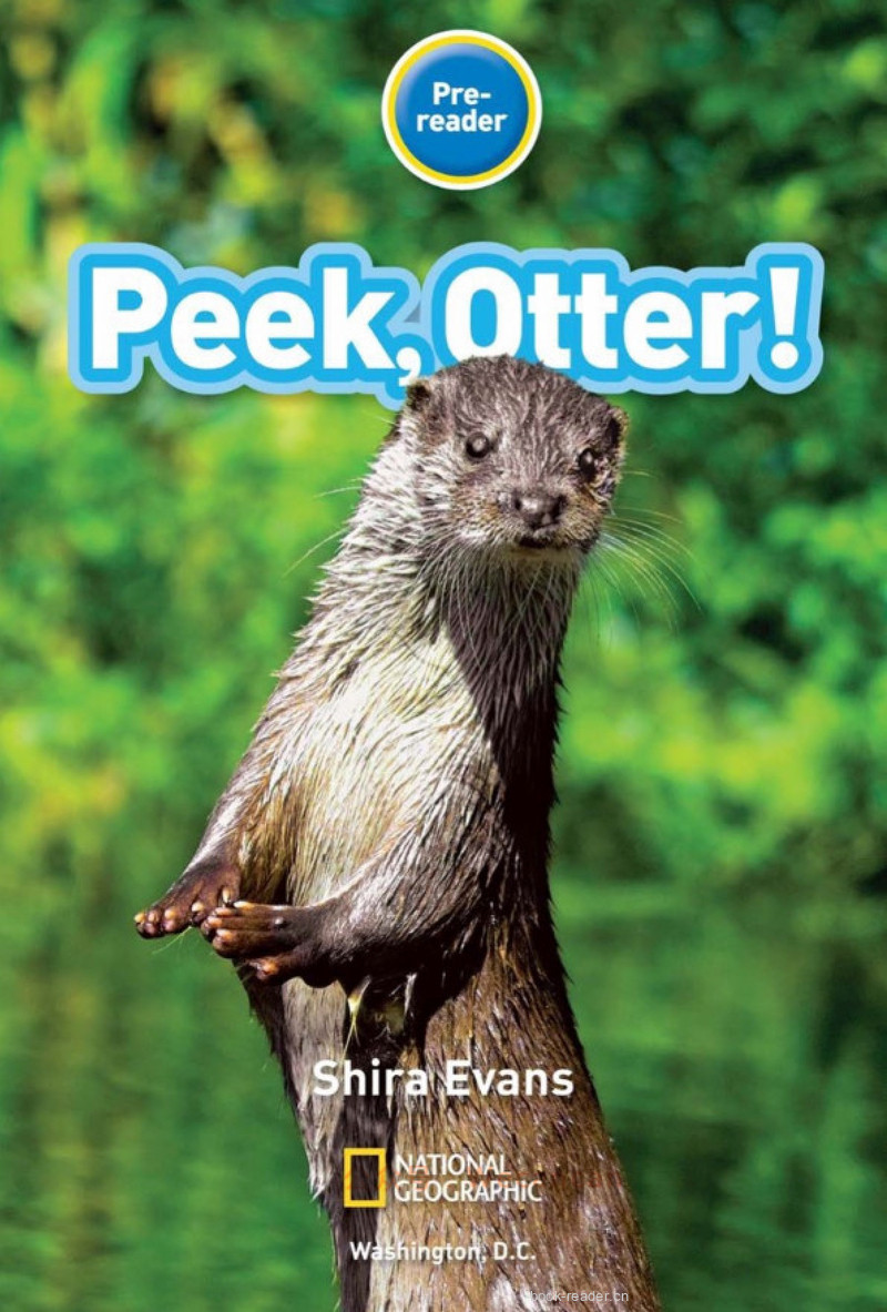 Peek Ottor