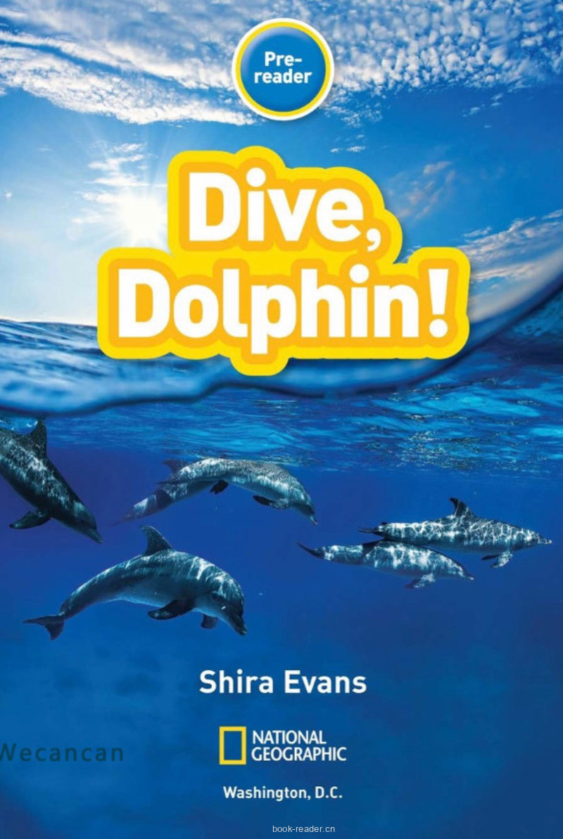 Dive Dolphin