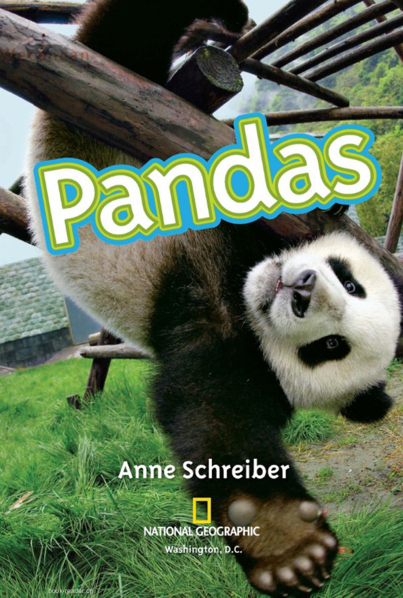 Pandas