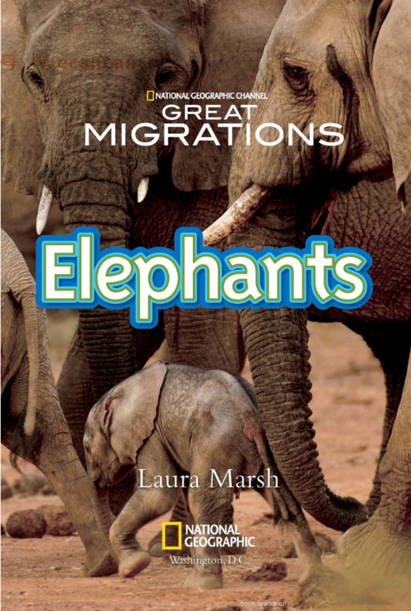 Elephants