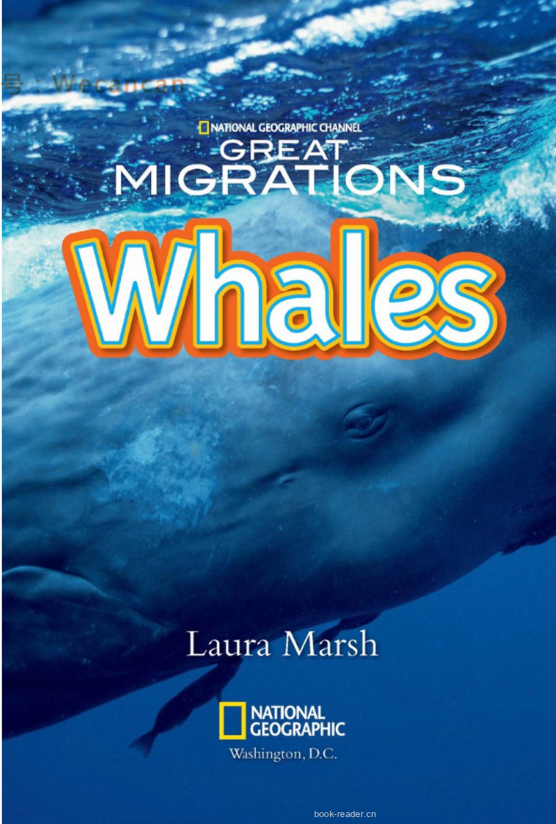 Whales