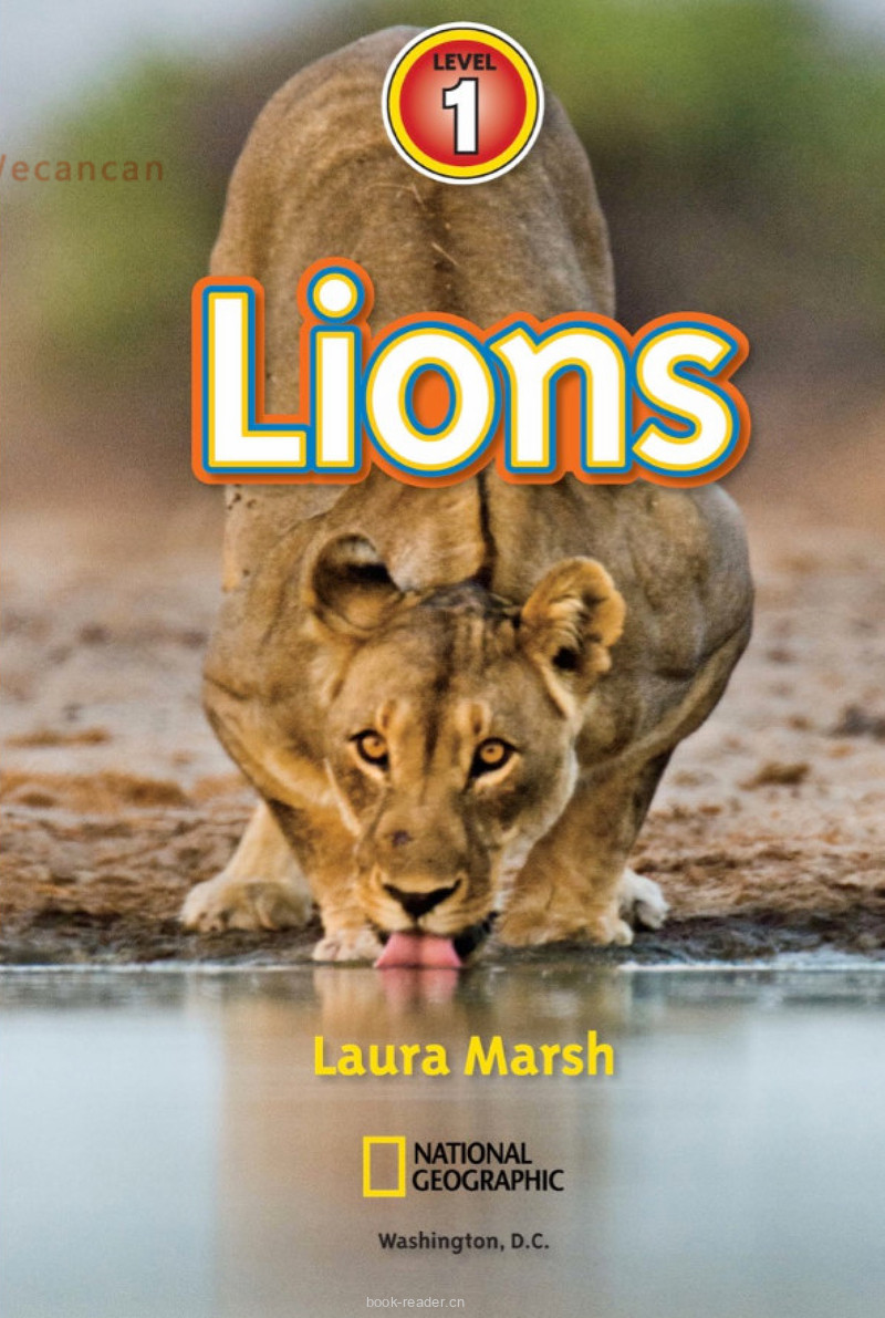 Lions