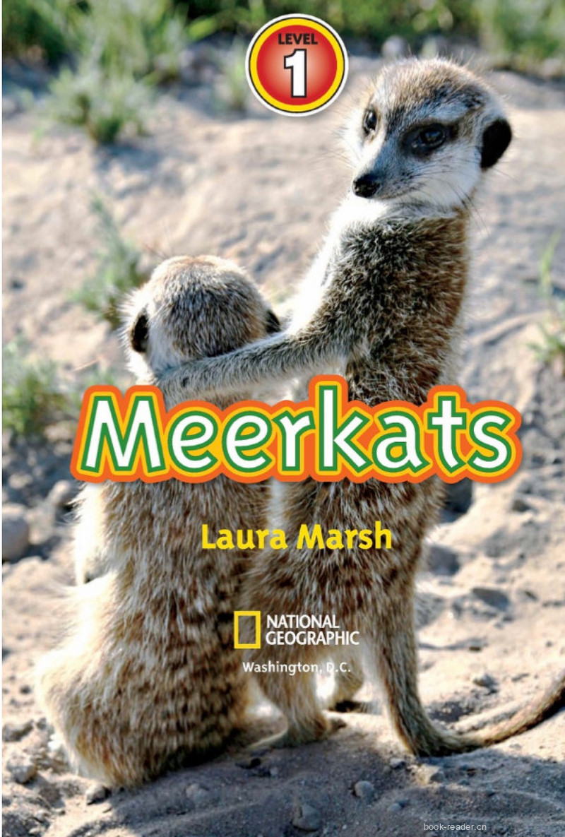 Meerkats