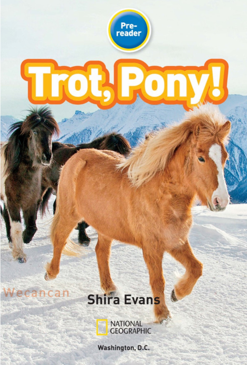 Trot Pony