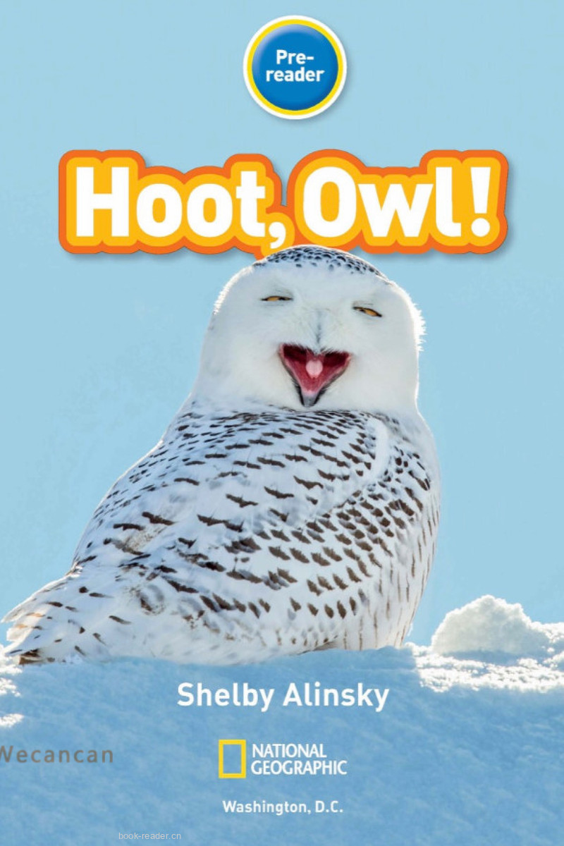 Hoot Owl