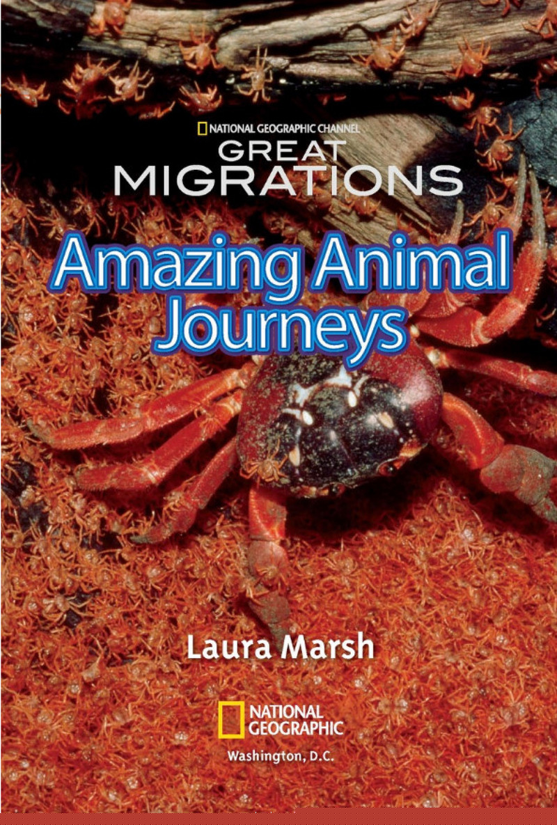 Amazing Animal Journeys