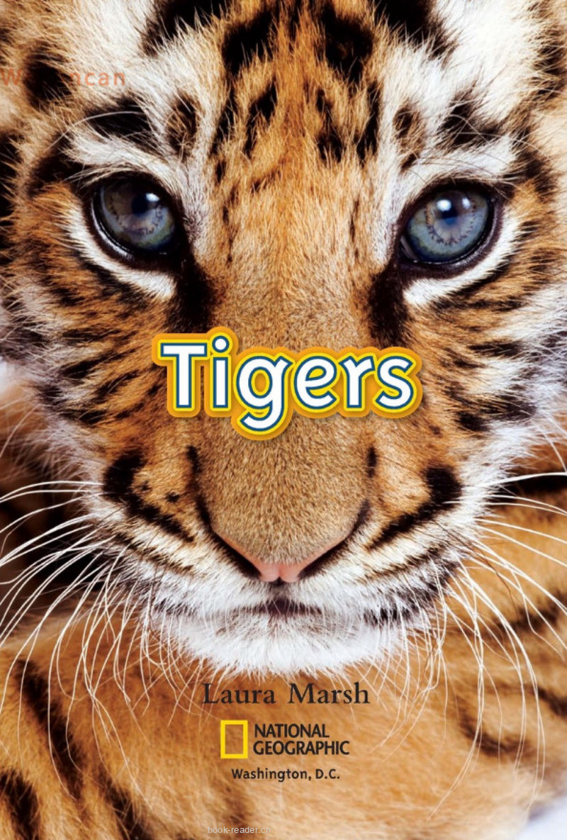 Tigers