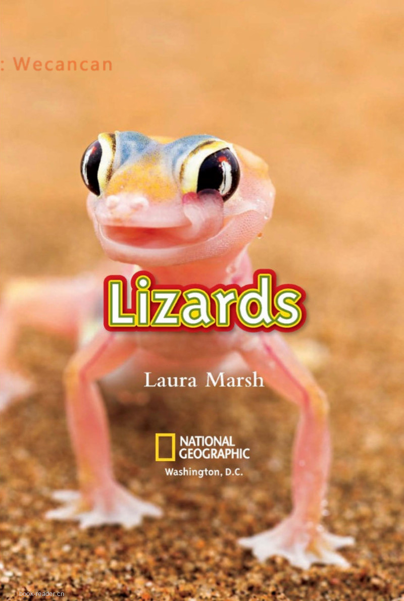 Lizards