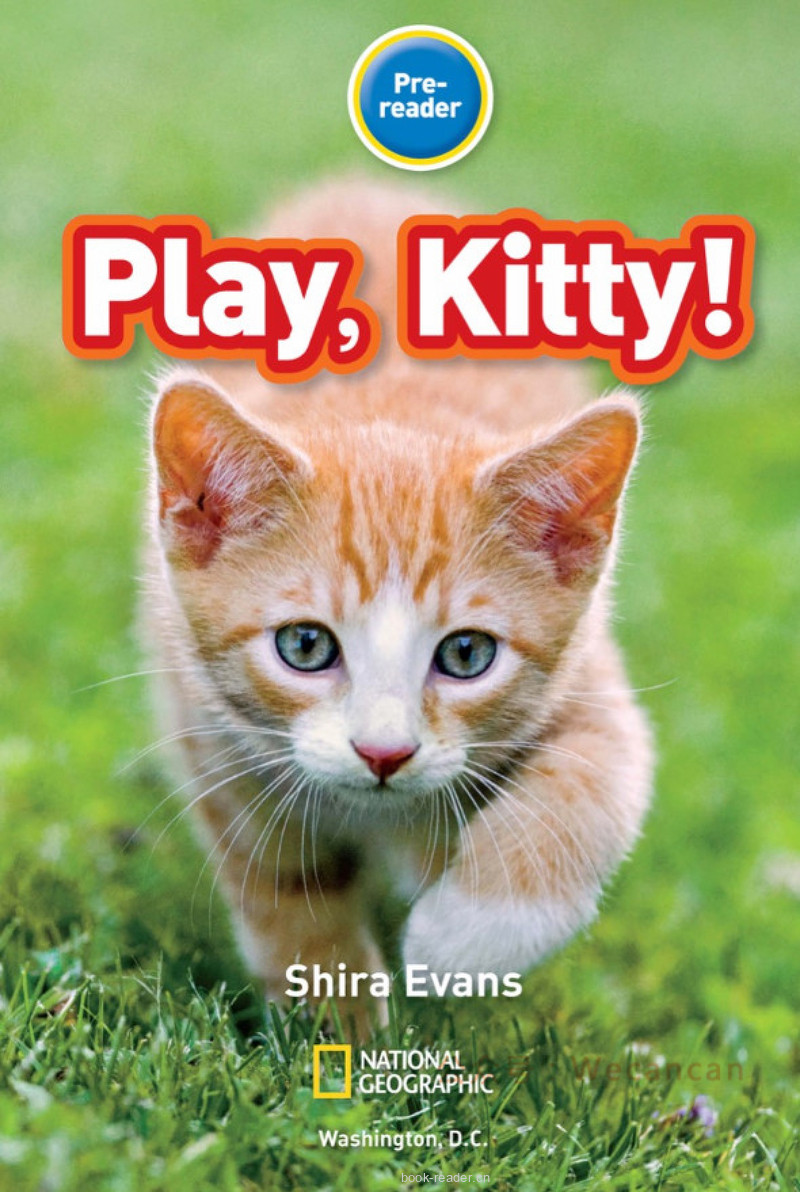 Play Kitty