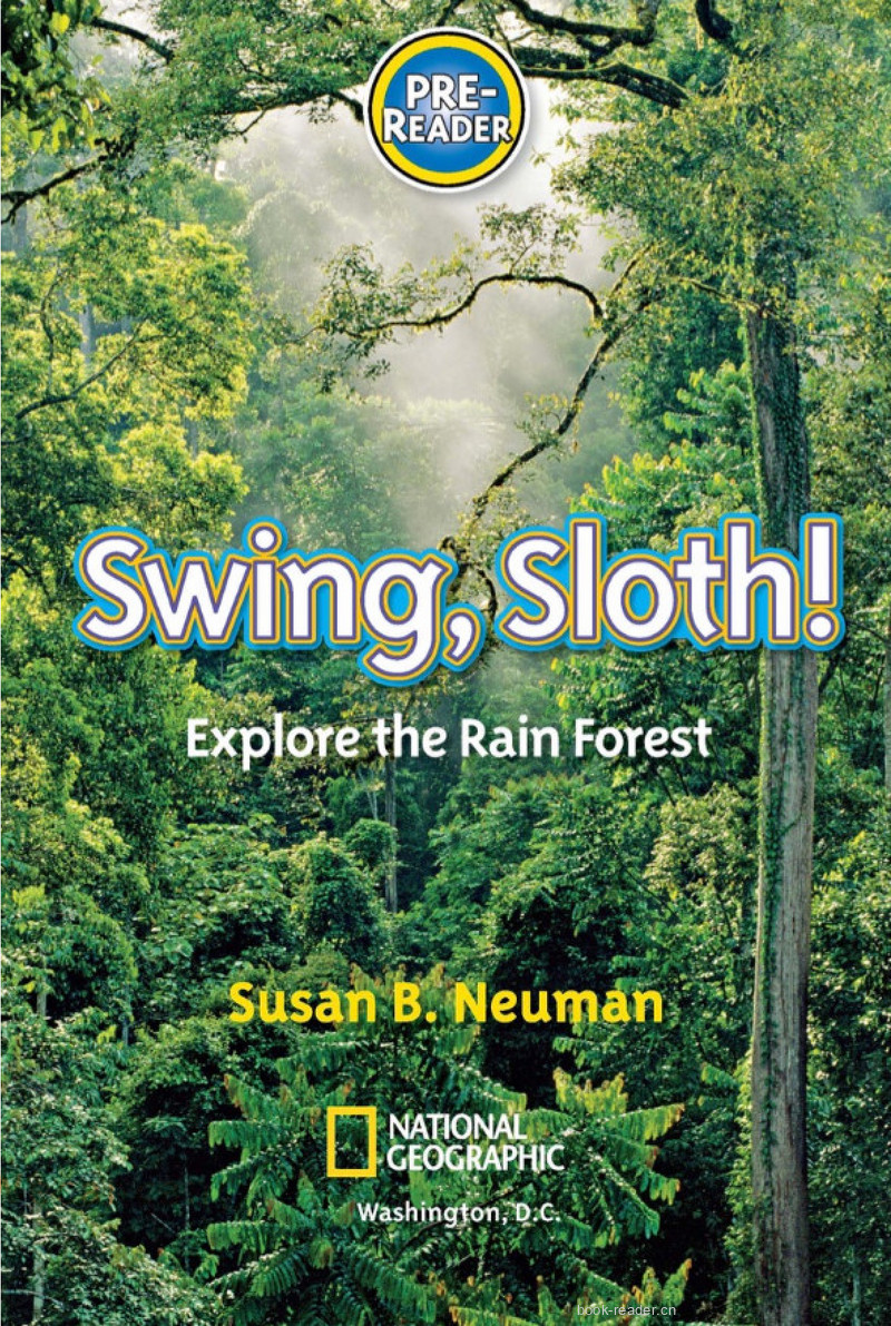 Swing Sloth