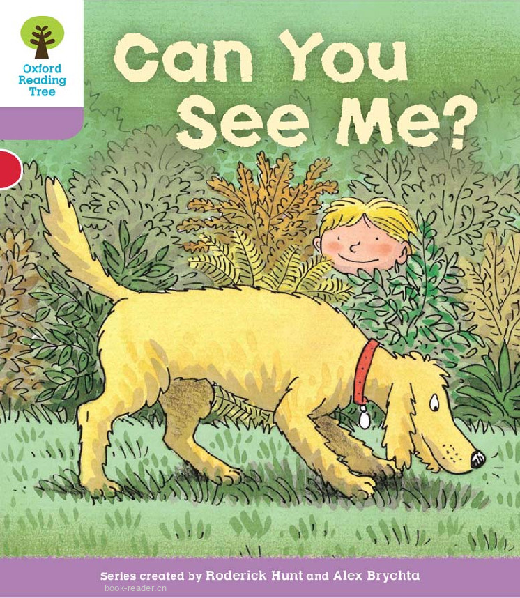  Can You See Me