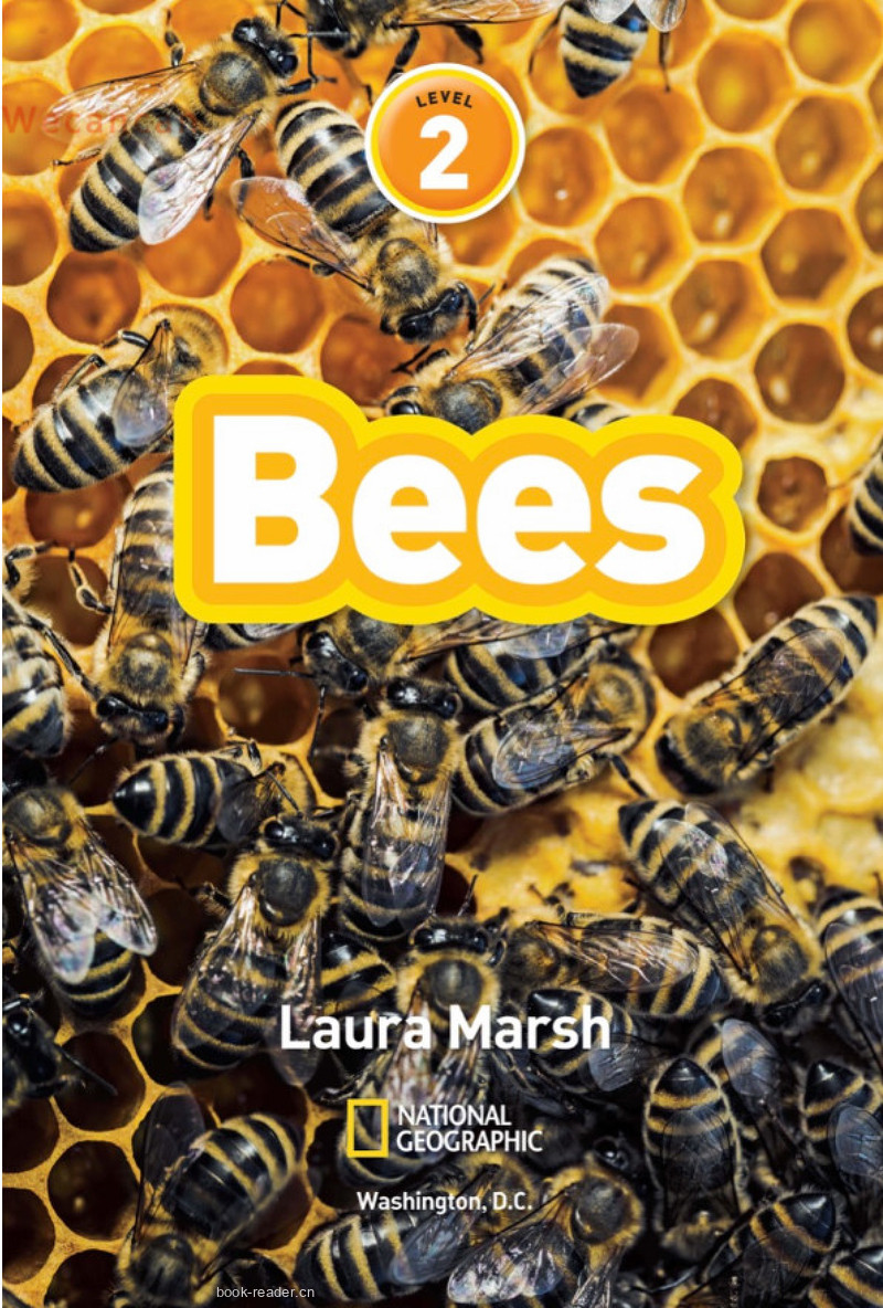 Bees