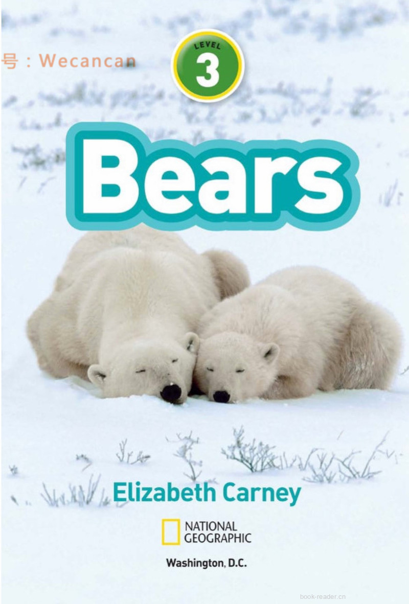 Bears