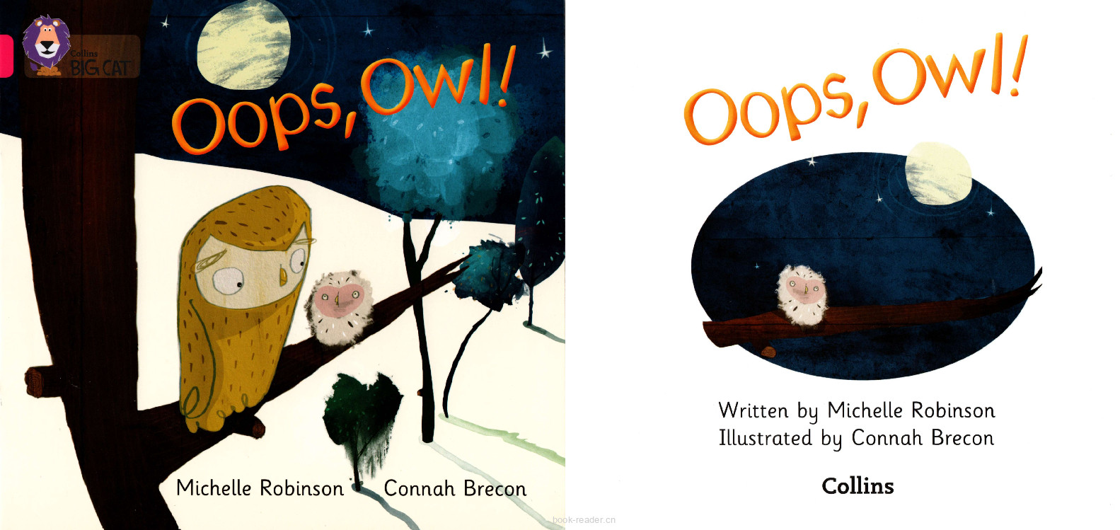 Oops Owl