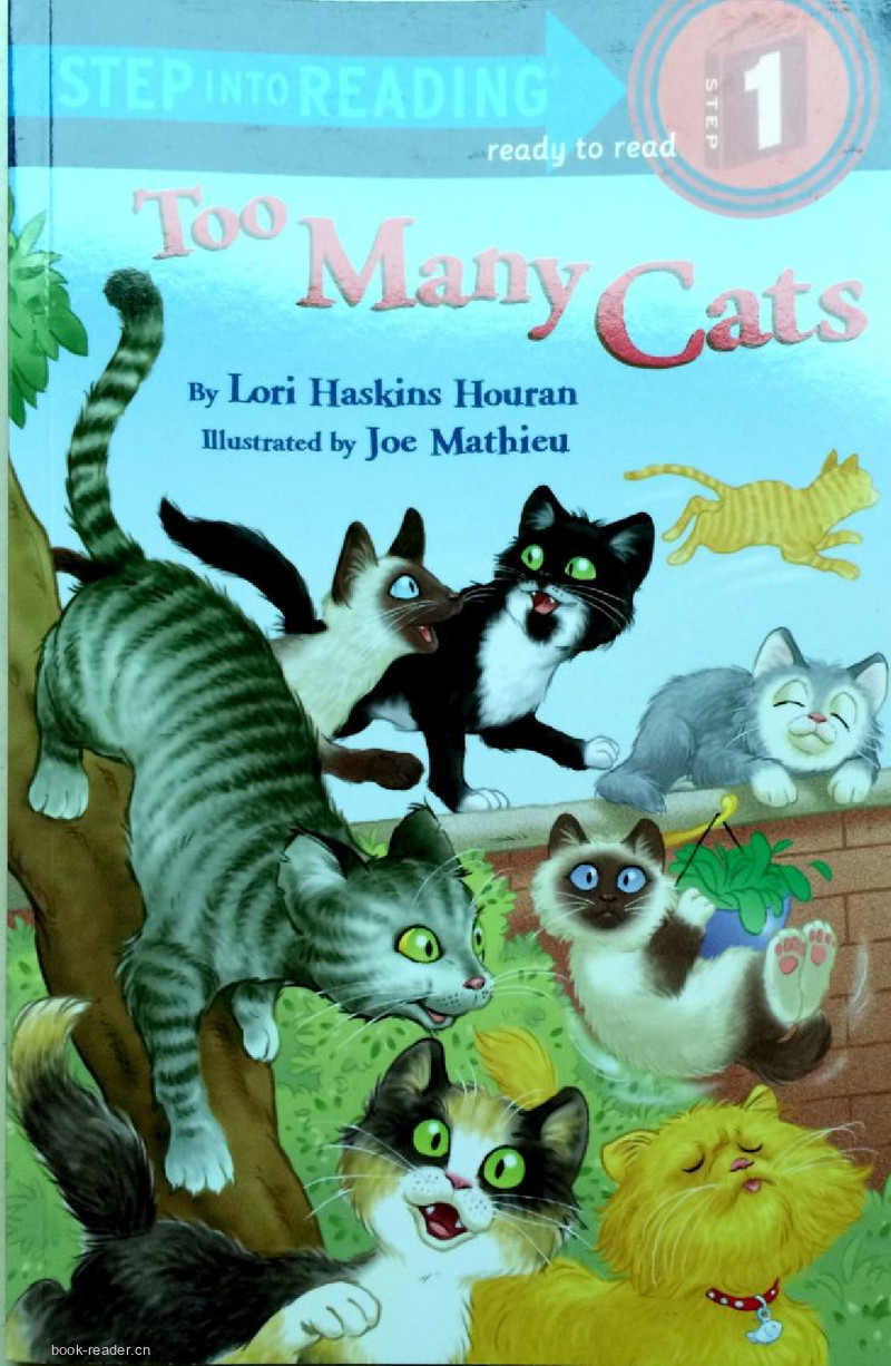 Too Many Cats