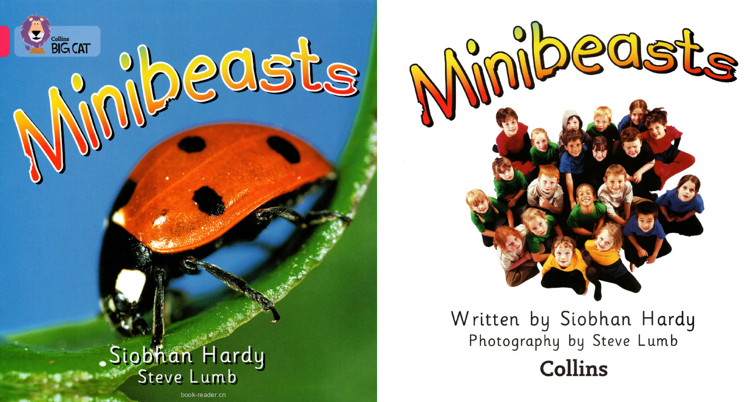 Minibeasts