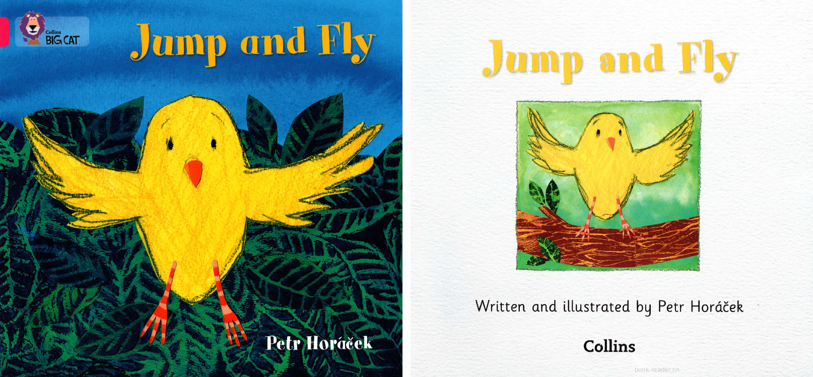 Jump and Fly