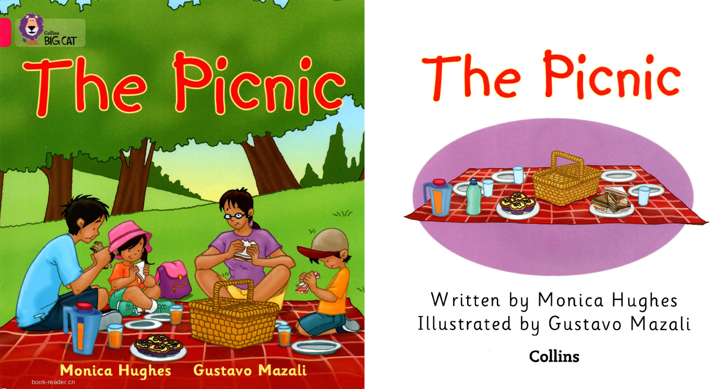 The Picnic