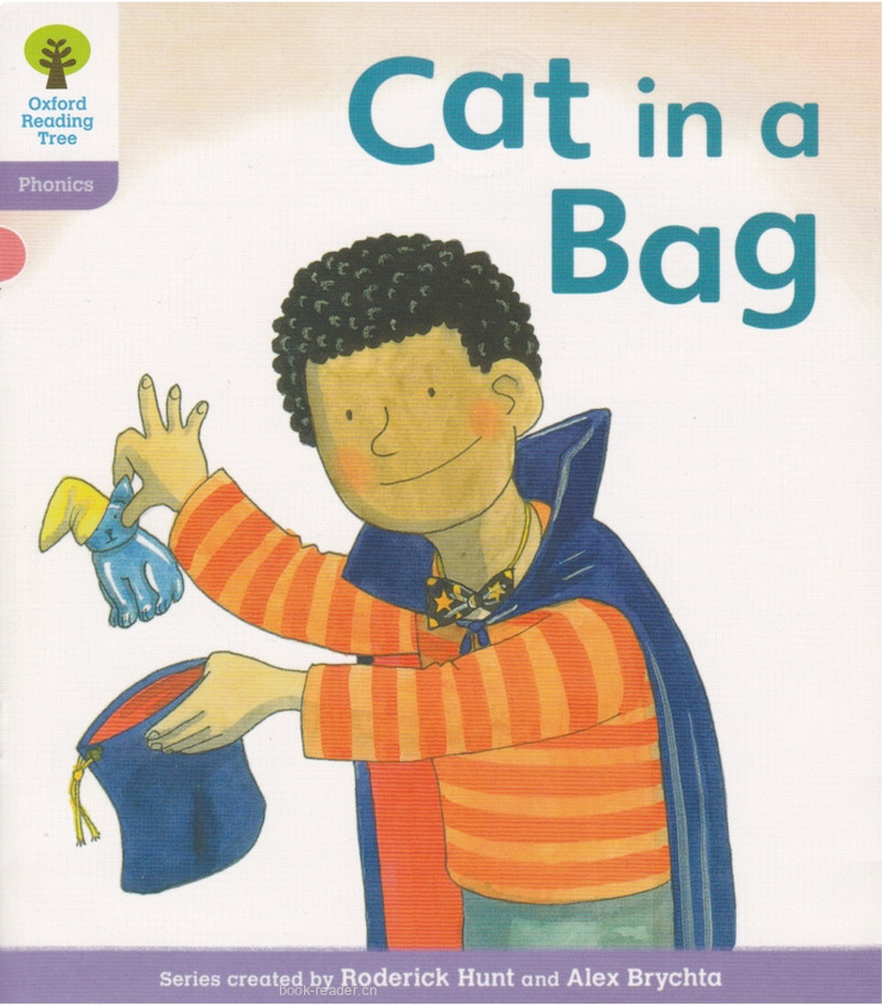 L1 Cat in a Bag