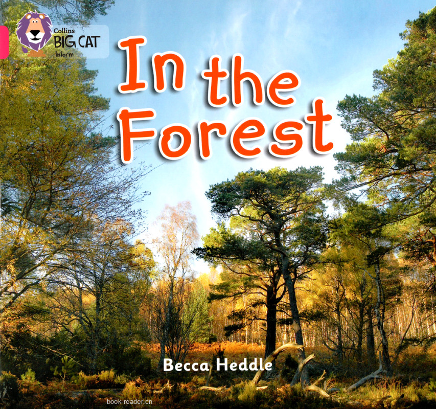 In the Forest