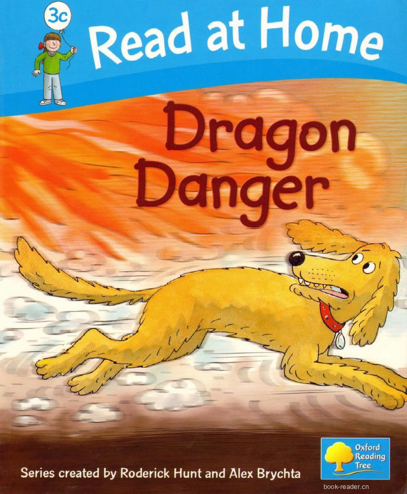 3C Dragon Danger