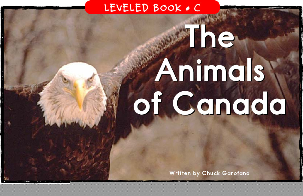 The Animals  of Canada