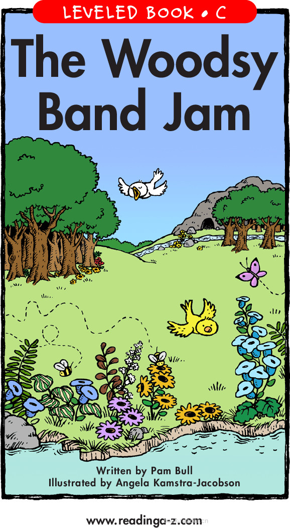 The Woodsy  Band Jam