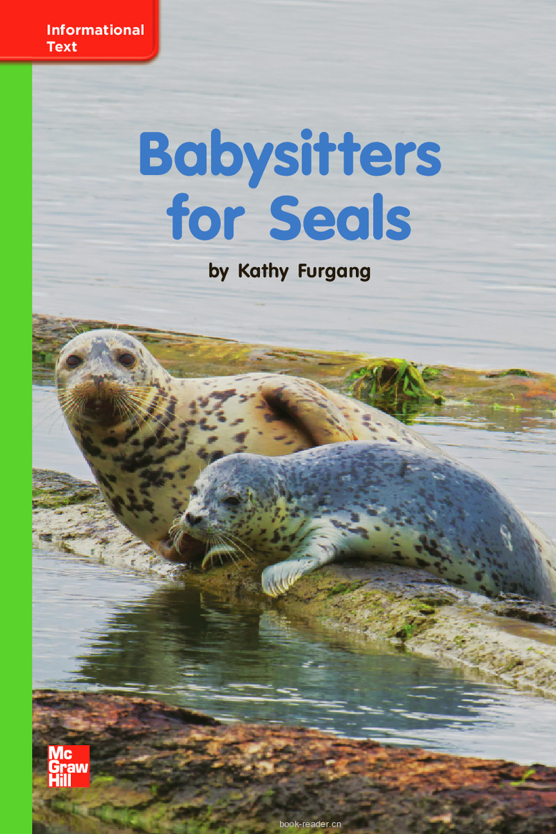 U10W3 Babysitters for Seals