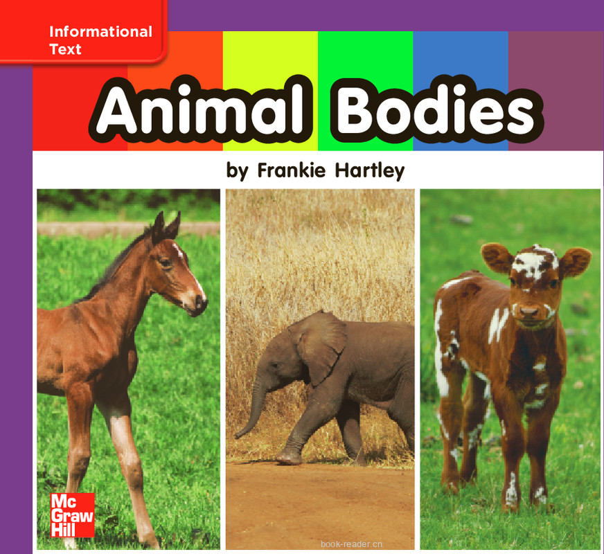 U7W1 Animal Bodies