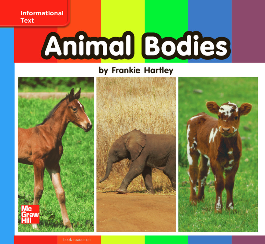 U7W1 Animal Bodies