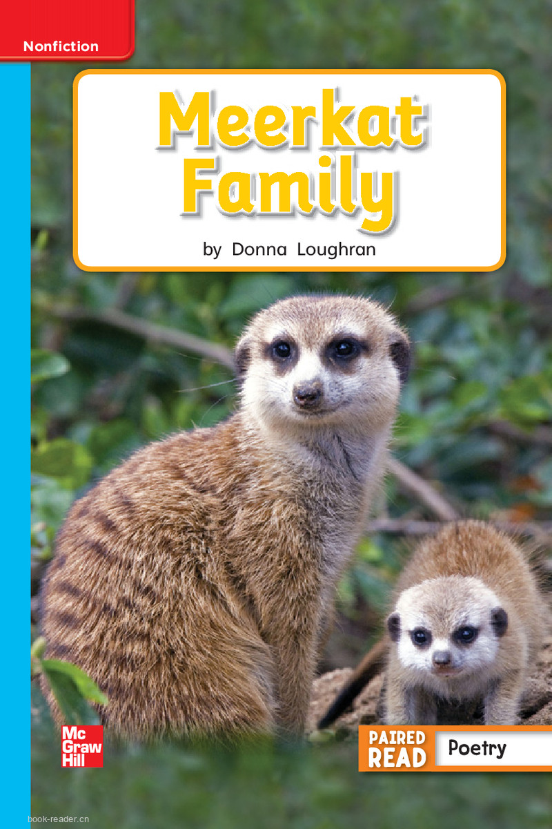 U2W3 Meerkat Family
