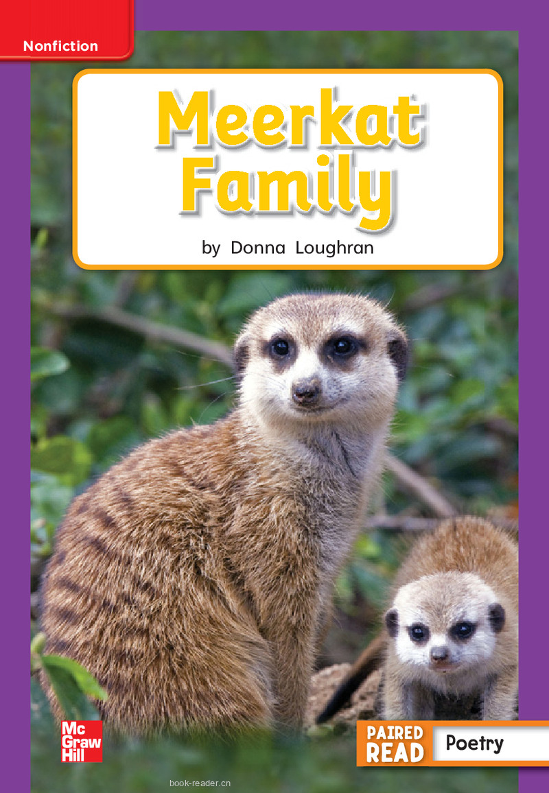 U2W3 Meerkat Family
