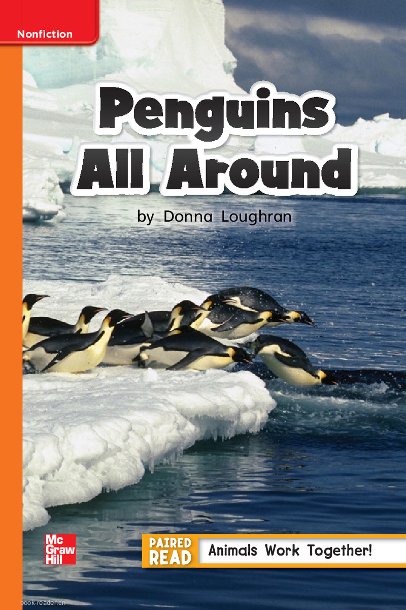 U4W2 Penguins All Around