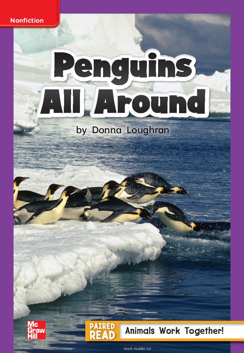U4W2 Penguins All Around