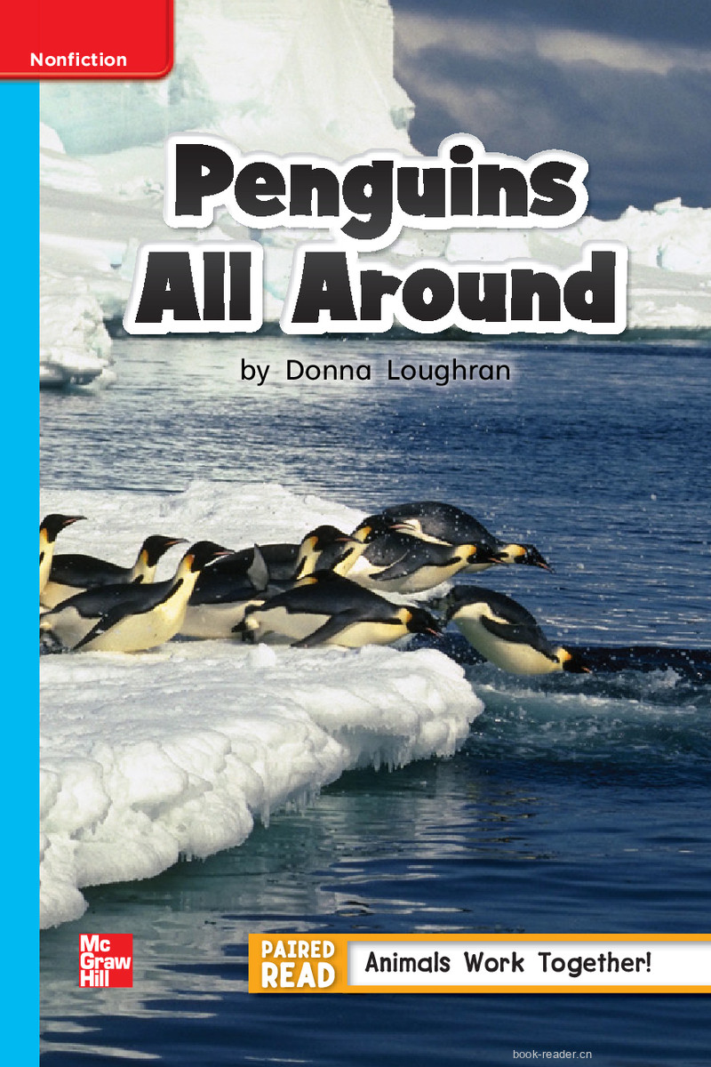 U4W2 Penguins All Around