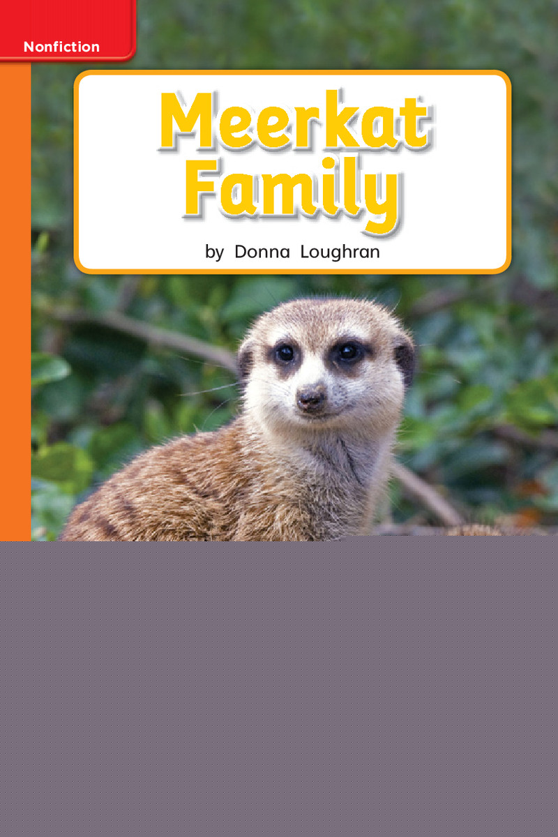 U2W3 Meerkat Family