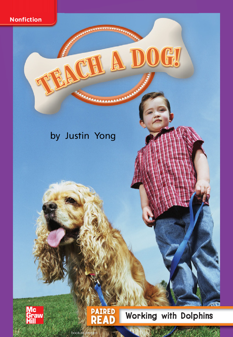 U4W5 Teach a Dog!