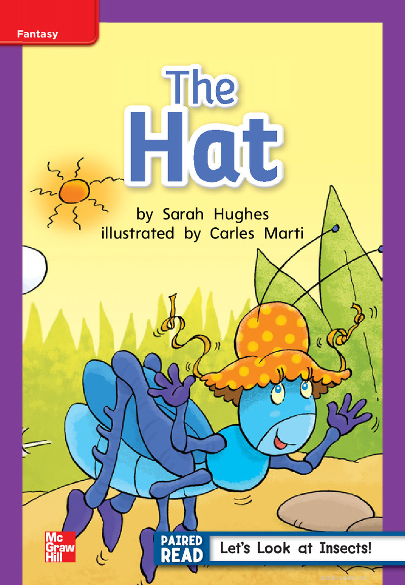 U4W4 The Hat
