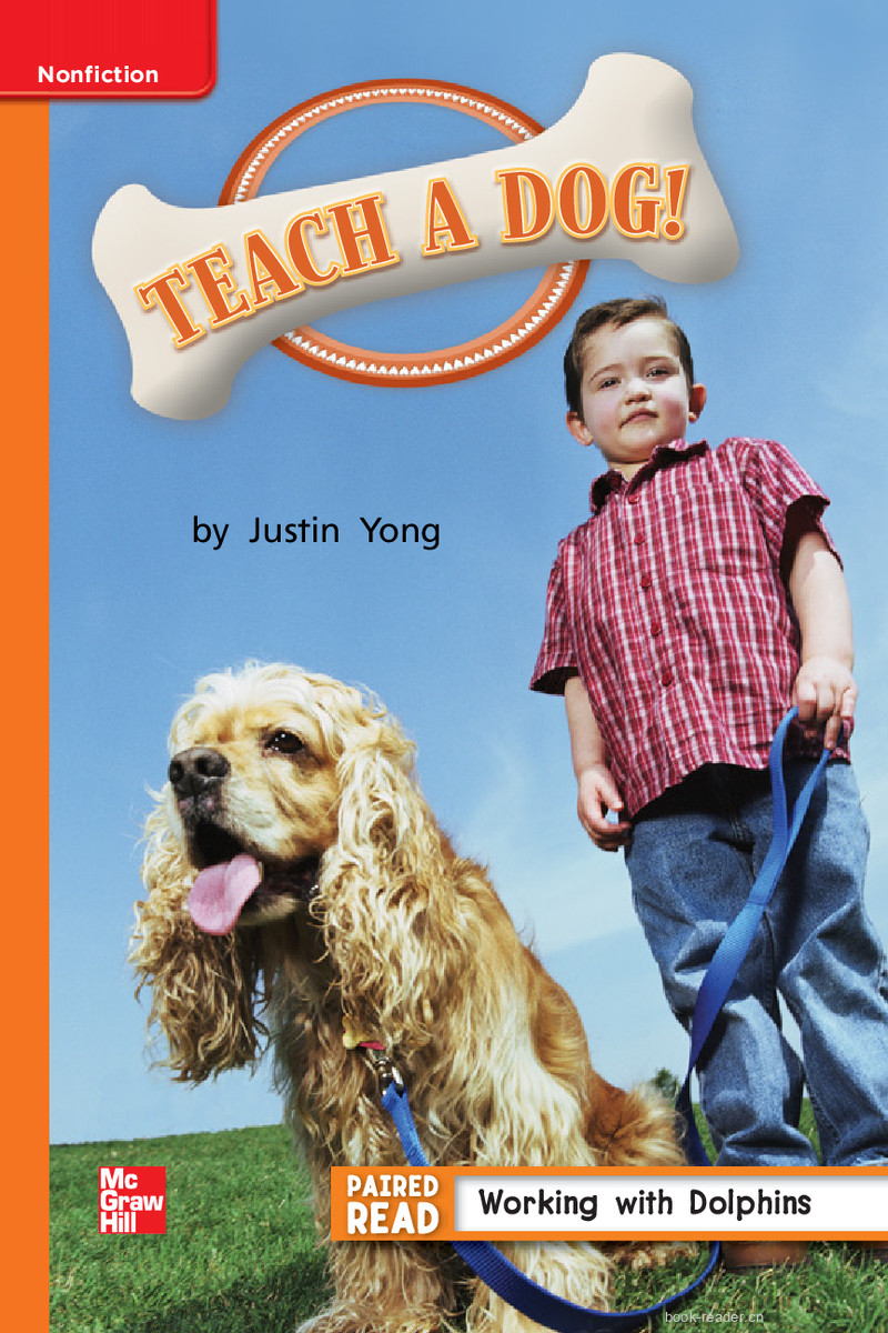 U4W5 Teach a Dog!